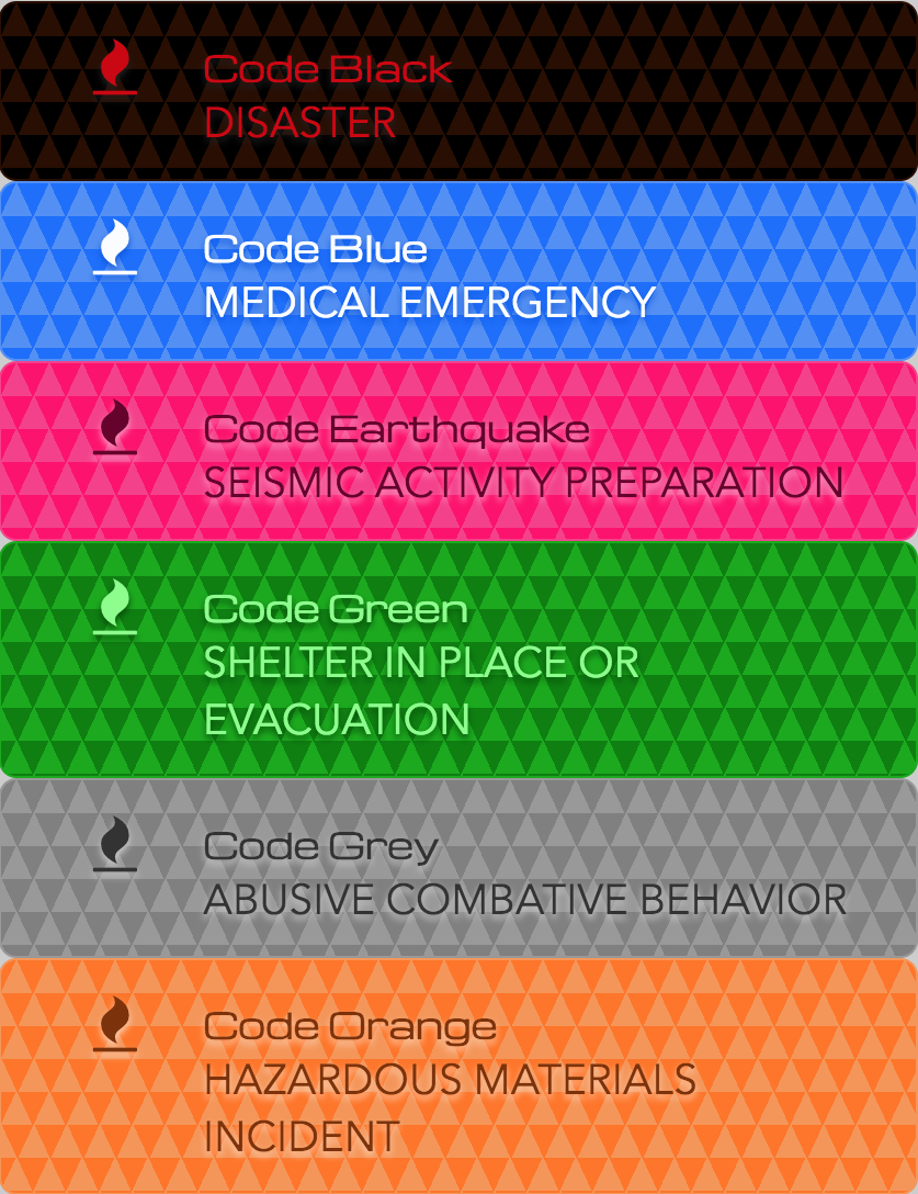 The Standard For Hospitals Nedocs